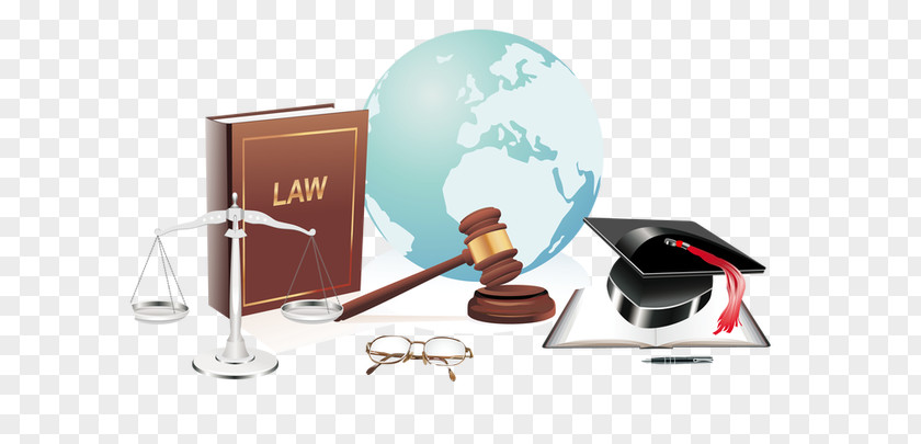 Lawyer Judge Profession PNG
