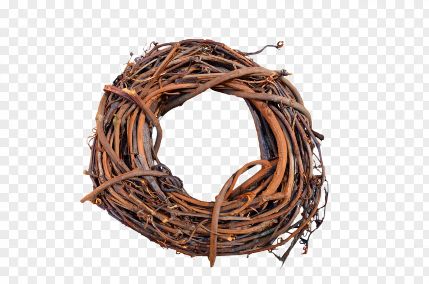 Nest Transparent PNG