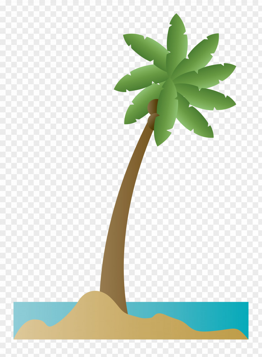 Palm Tree Arecaceae Coconut PNG