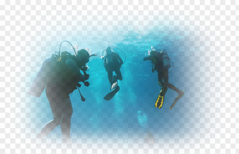 SCUBA DIVING Scuba Diving Marsa Alam Hurghada Dry Suit Underwater PNG