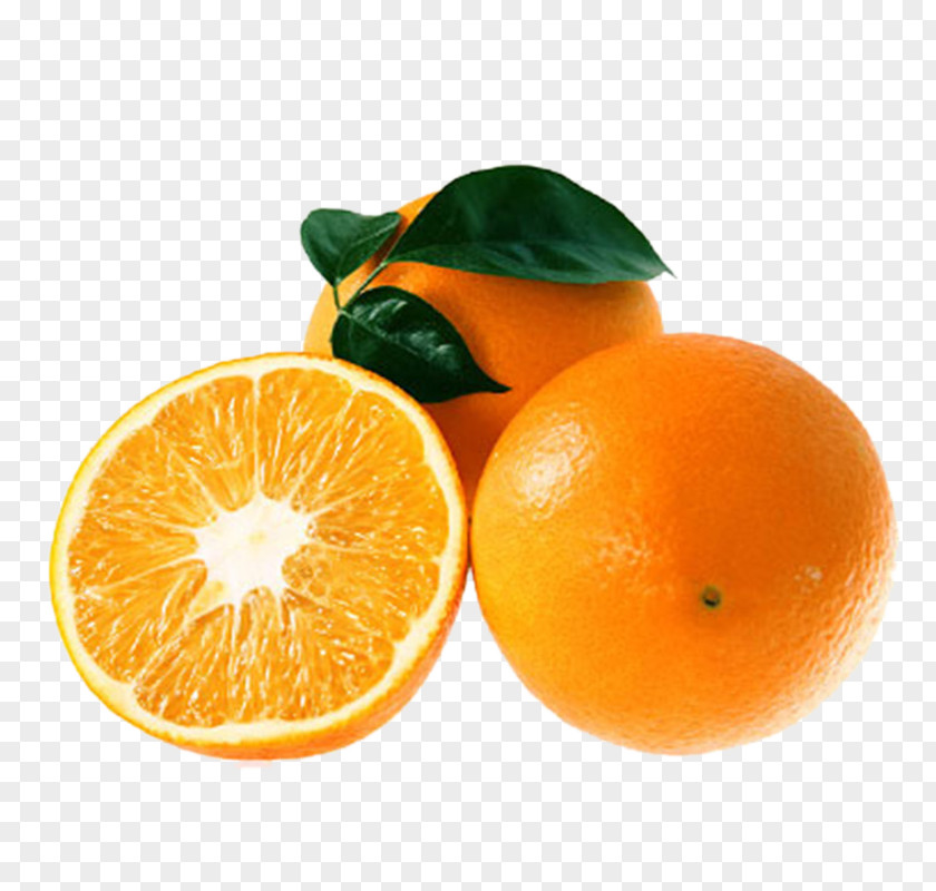 Orange Pulp Child Jiangxi Blood Mandarin Tangelo Tangerine PNG