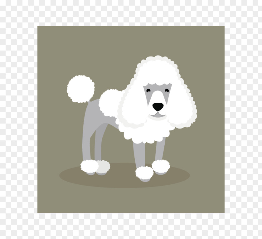 Puppy Standard Poodle Dog Breed Non-sporting Group PNG
