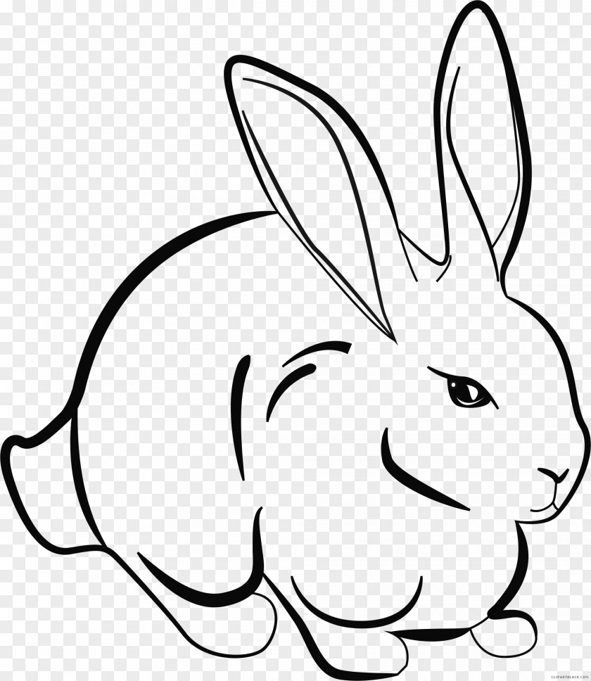 Rabbit Hare Easter Bunny Domestic Line Art PNG