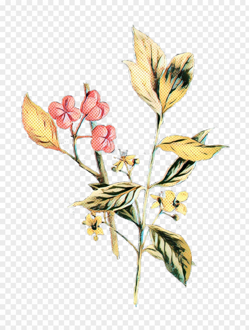 Tulip Cut Flowers Alstroemeriaceae Floral Design PNG
