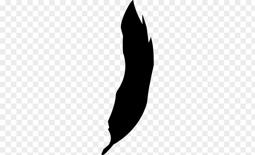 Bird Feather Silhouette Photography Drawing PNG