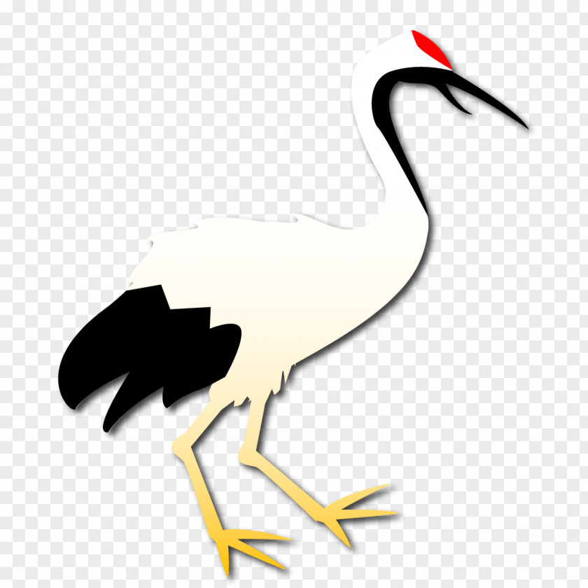 Bird Seabird Beak Stork Clip Art PNG