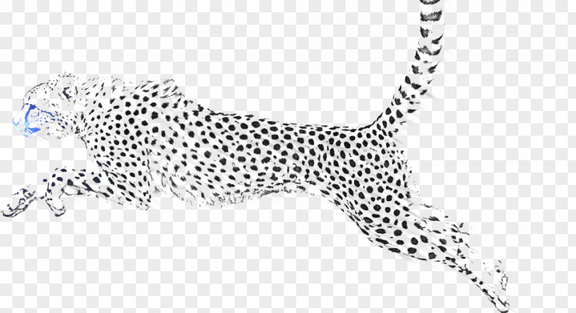 Leopard Snow Jaguar Cheetah PNG