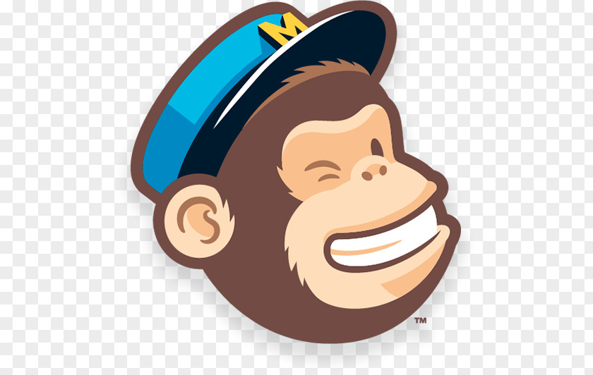Marketing MailChimp Email Lead Generation PNG