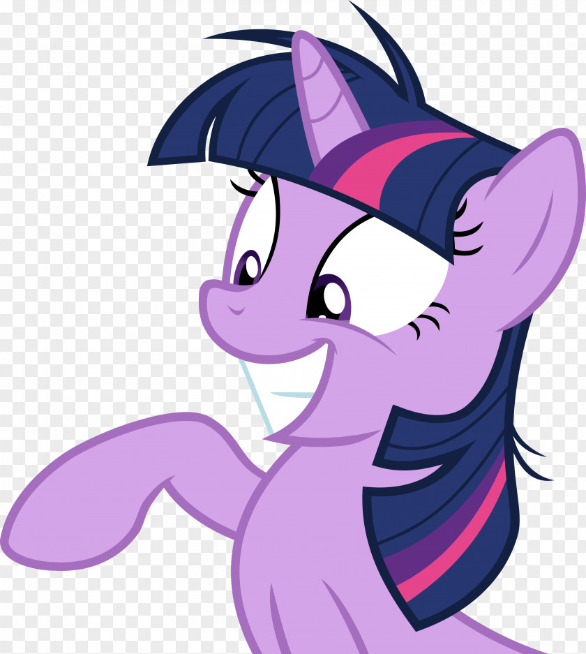 Twilight Sparkle Applejack Pinkie Pie Rarity Pony PNG