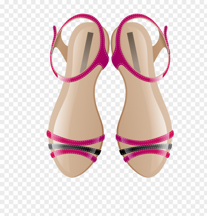 Women Sandals Slipper Shoe Sneakers High-heeled Footwear PNG