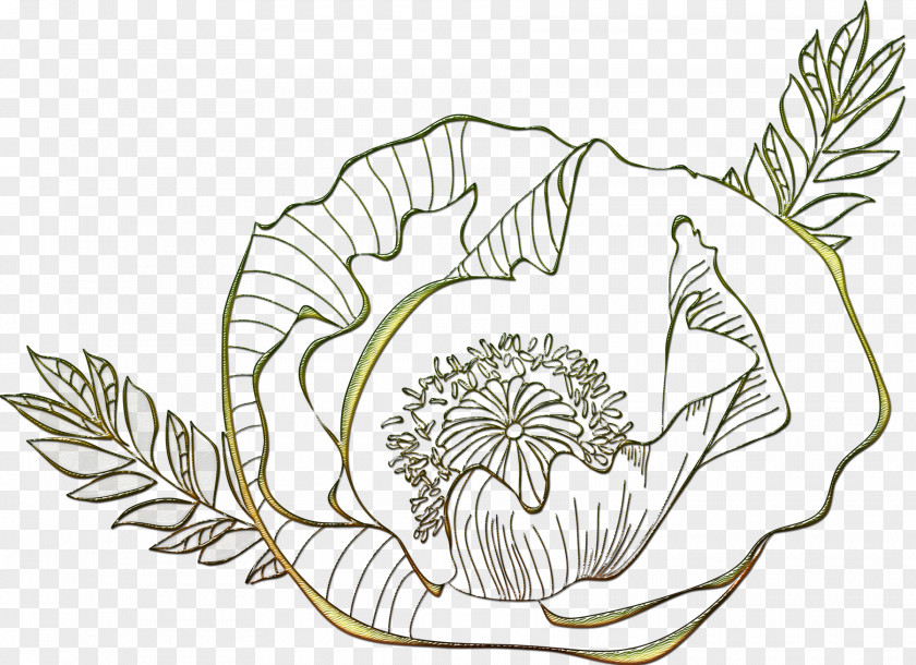 Delicate Flowers Floral Design Leaf Plant Stem Line Art PNG