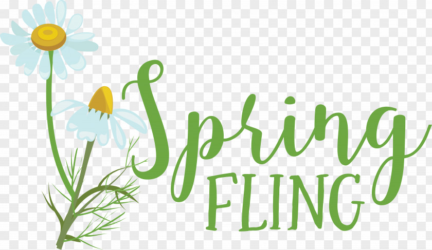 Floral Design PNG