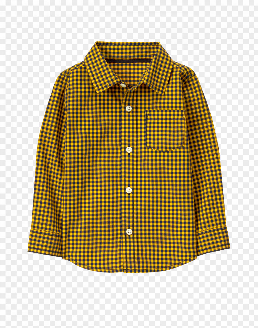 Gingham Blouse PNG