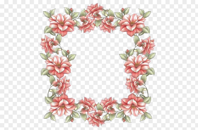 Petal Floral Design PNG