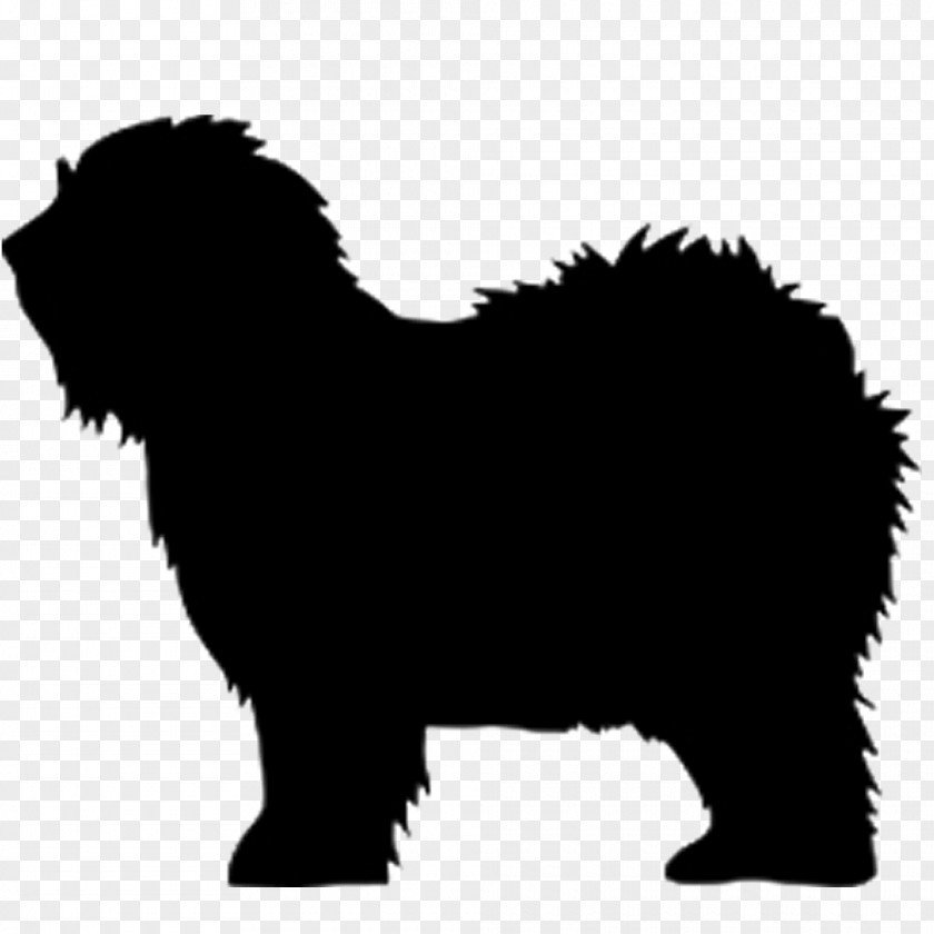 Puppy Newfoundland Dog Old English Sheepdog Breed Shetland Border Collie PNG