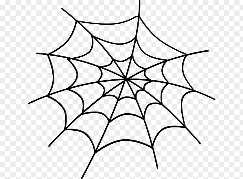 Spider Web Clip Art Vector Graphics Drawing PNG