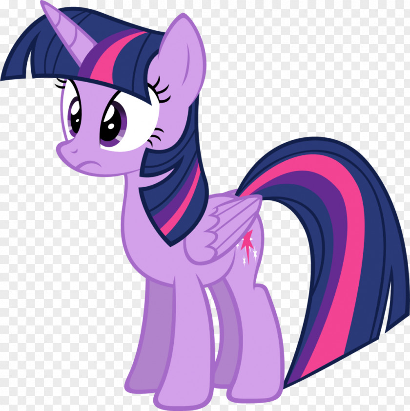 Twilight Sparkle Pinkie Pie Rainbow Dash Rarity Pony PNG