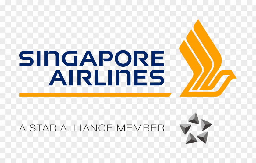 Airline Elements Singapore Airlines Flight Ticket PNG