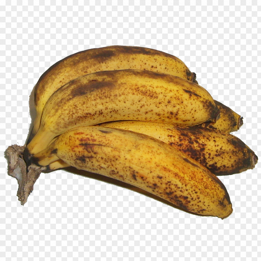 Banane Saba Banana The Art Of Peer Pressure Ultra-leftism Cooking Islamo-Leftism PNG