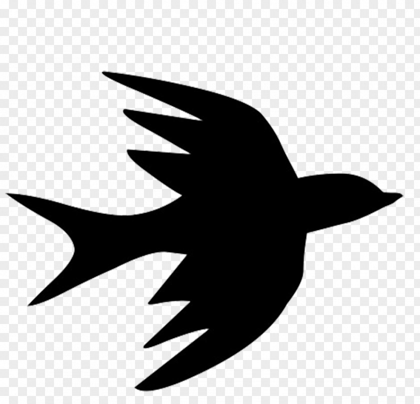 Birds Silhouette Bird Flight Swallow PNG