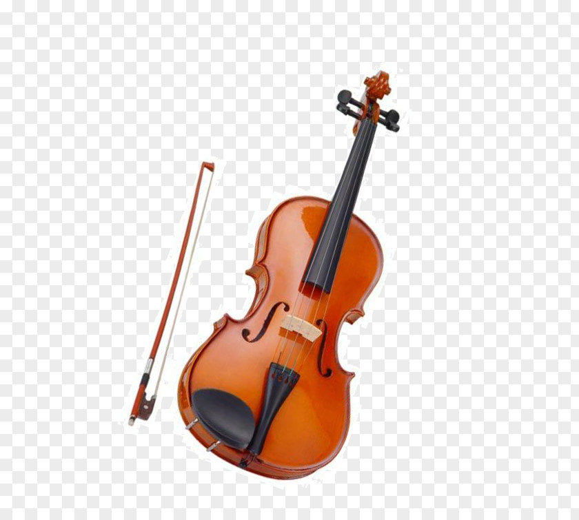 Oboe Violin Family Musical Instruments Cello Viola PNG