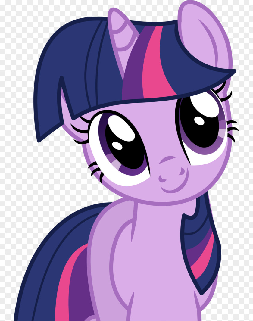 Shimmering Twilight Sparkle Rainbow Dash Pinkie Pie Rarity Pony PNG