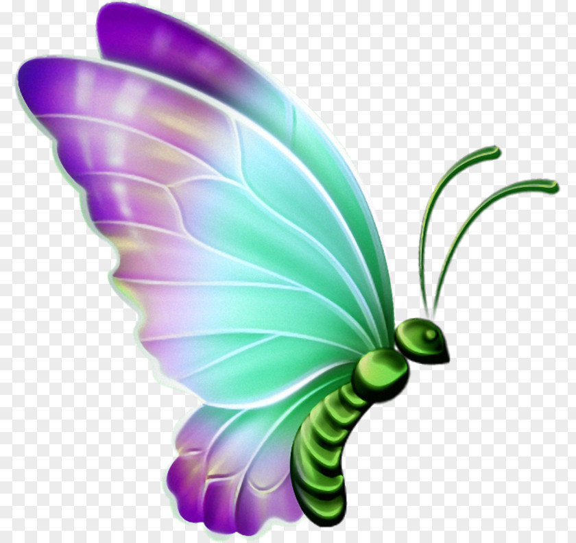 Sketch Of Butterfly Pictures Clip Art Transparency Openclipart PNG