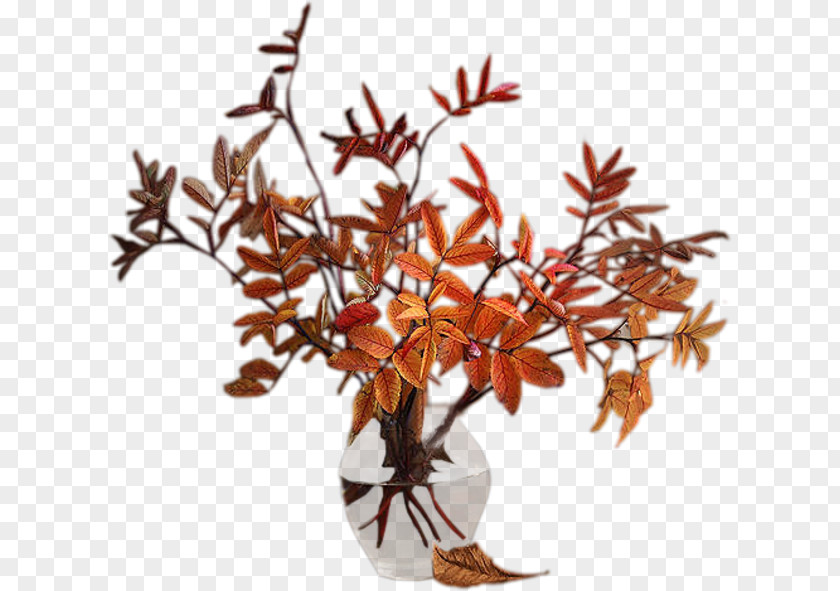 Vase Autumn Flower PNG