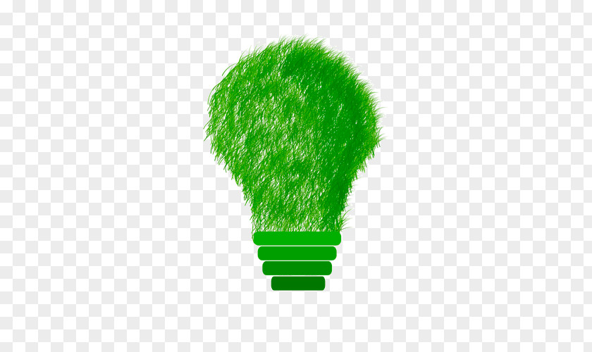 Bajo Ecommerce Sustainability Sustainable Energy Development Environmentally Friendly PNG