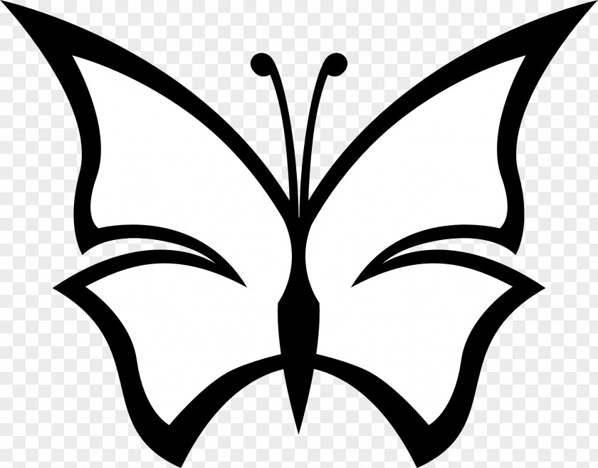 Butterfly Drawings Clip Art PNG