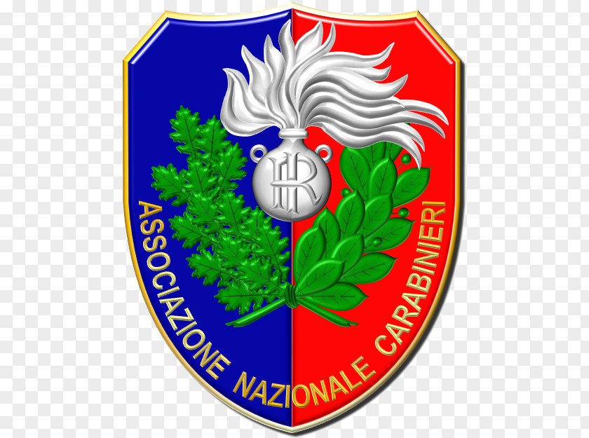 Carabiniers Associazione Nazionale Carabinieri Virgo Fidelis Turin Volunteering PNG