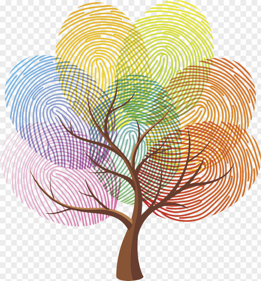 Color Fingerprint Tree PNG fingerprint tree clipart PNG