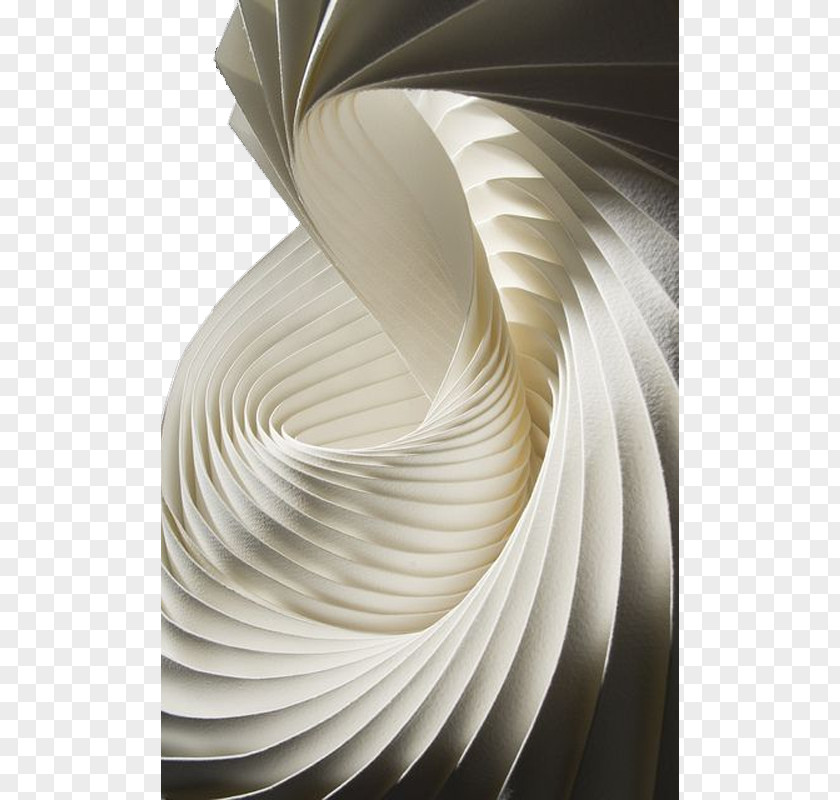 FanShaped Spiral Folding Creative Architectural Design Paper Untitled (Bird) Sculpture Watercolor Painting Art PNG