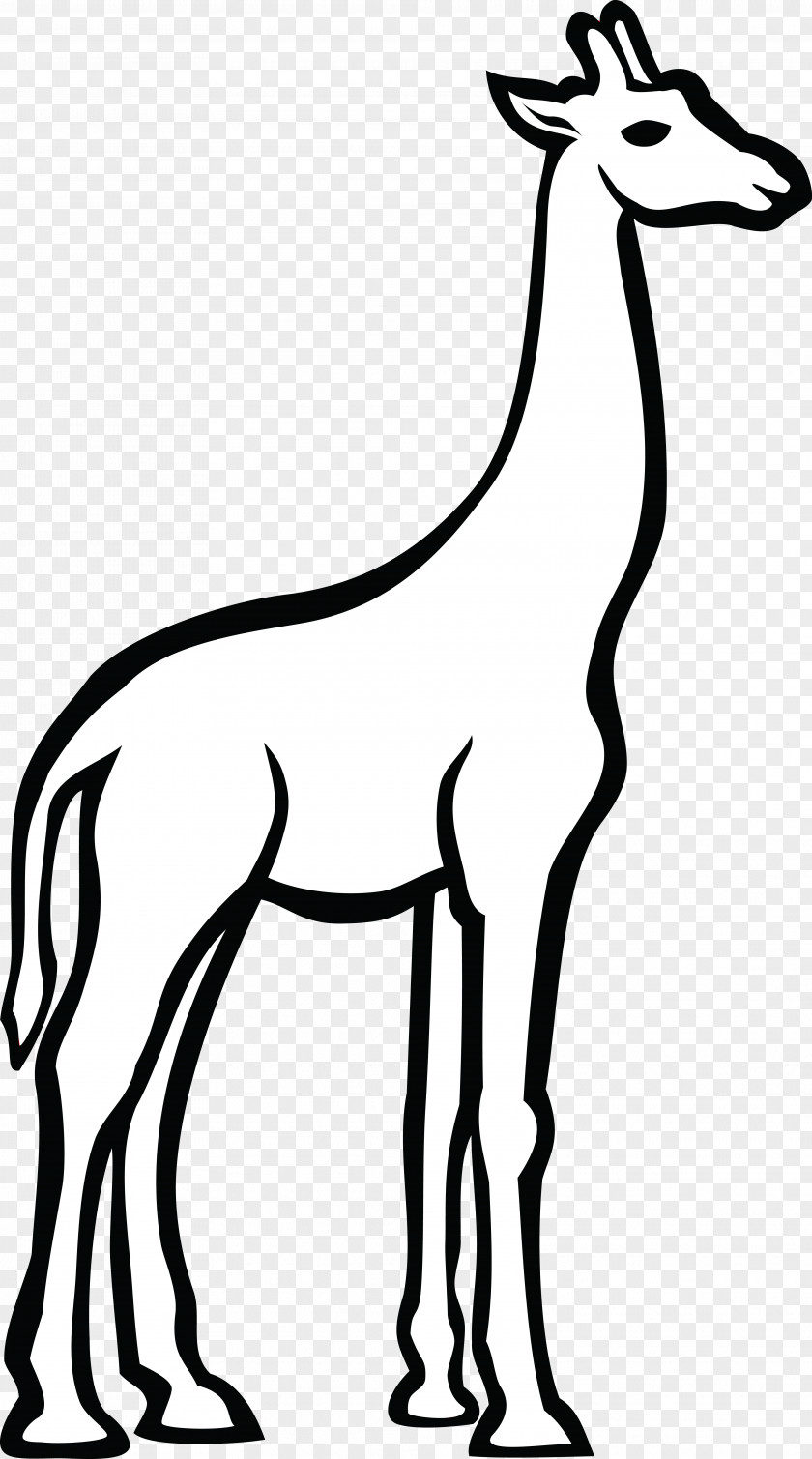 Giraff Line Art Drawing Clip PNG