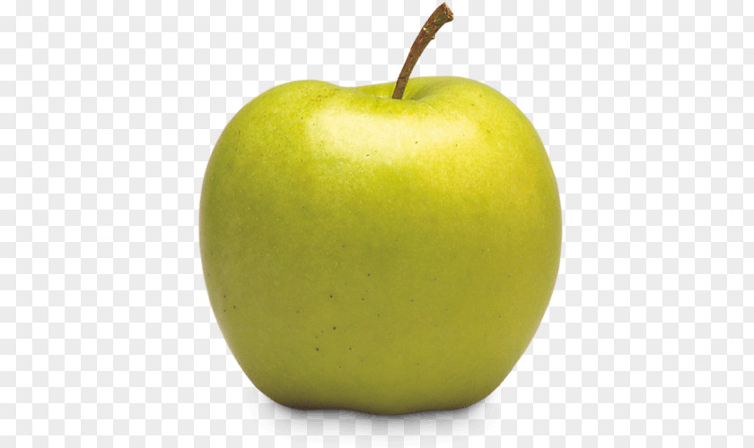 GREEN APPLE Mutsu Apple Golden Delicious Fruit Tentation PNG
