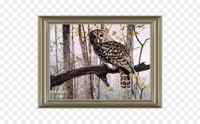 Owl Paint By Number Oil Art Painting PNG