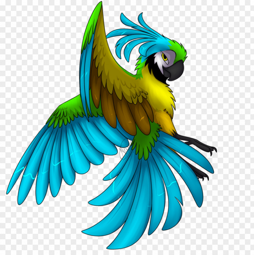 Rio Bird DeviantArt Fan Art Macaw PNG