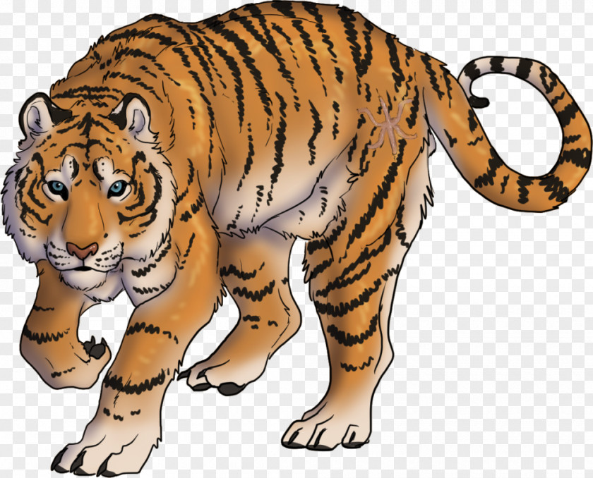 Tiger Whiskers Lion Wildcat PNG