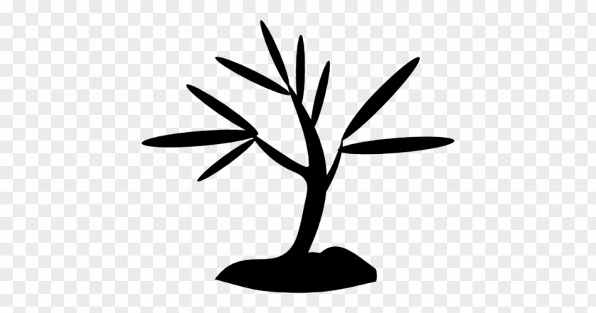 Tree PNG