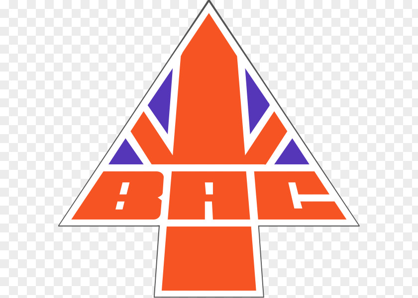 Aircraft British Corporation BAC Three-Eleven Airplane Business PNG