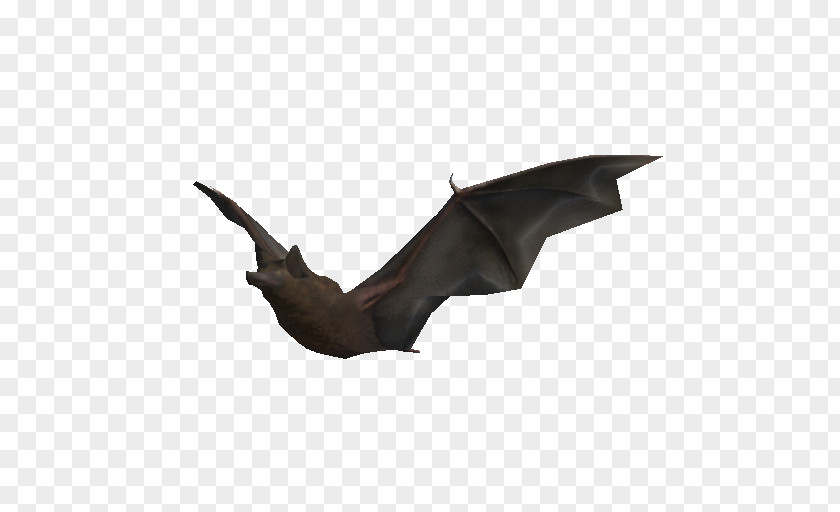 Bat Freeimg BAT-M Product Design PNG