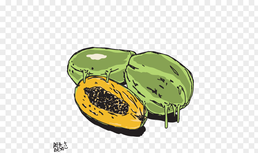 Melon Winter Squash Product Design Fruit PNG