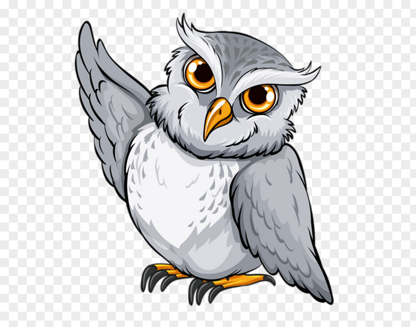 Owl Bird Clip Art PNG