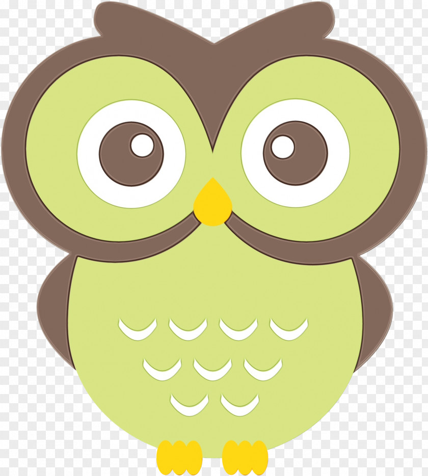 Brown Bird Of Prey Owl Green Cartoon Yellow PNG