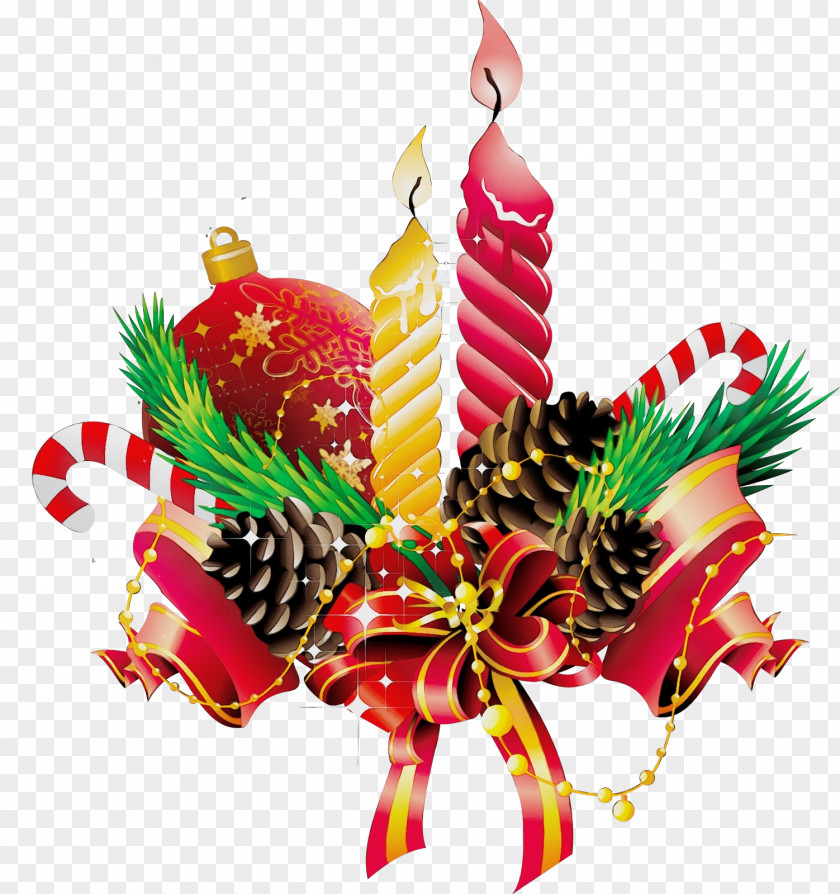 Holiday Ornament Plant Christmas PNG