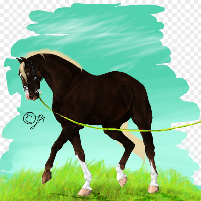 Horse Mane Foal Stallion Bridle PNG