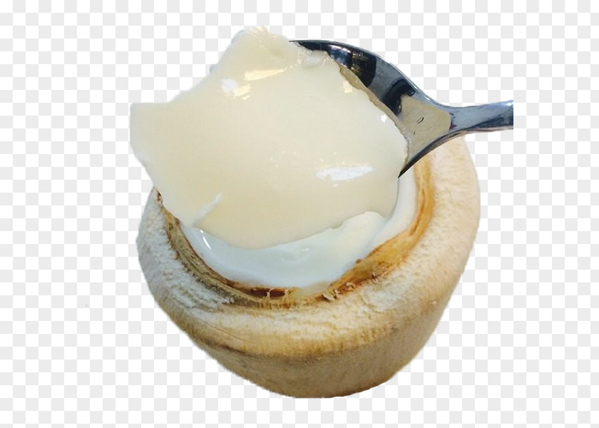 Milk White Coconut Special Portrayal Gelatin Dessert Nata De Coco Panna Cotta PNG