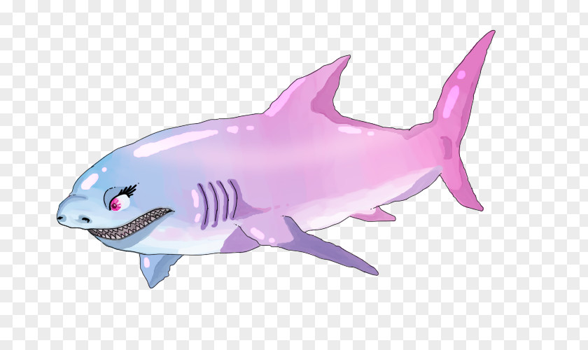 Multicolored Paint Requiem Shark Rainbow Drawing Fin PNG