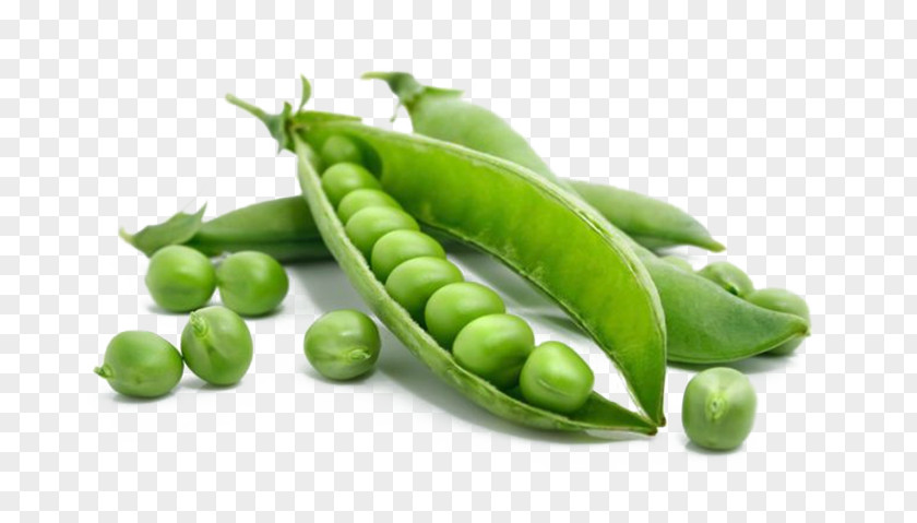 Soybean Plant Pea Pod Vegetable Legume PNG