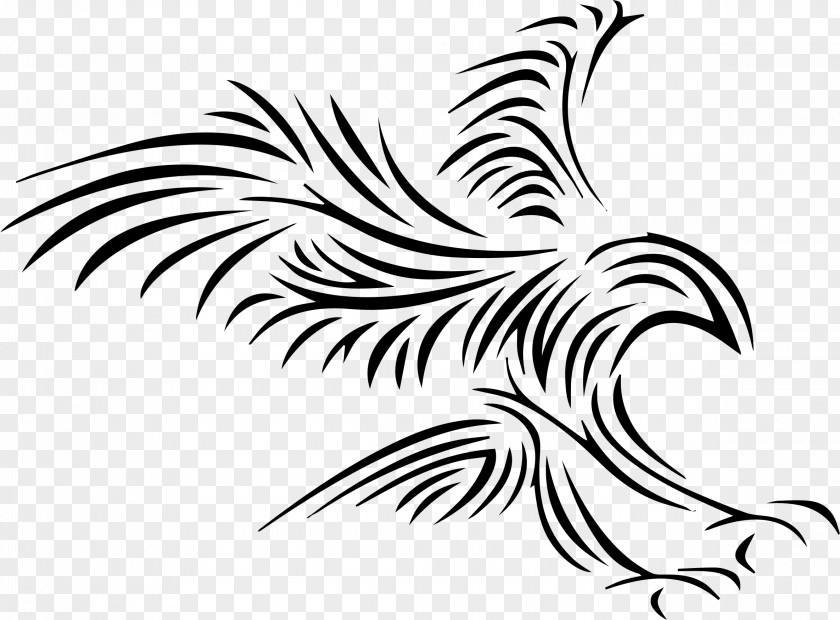 Tribal Bald Eagle Feather Law Clip Art PNG